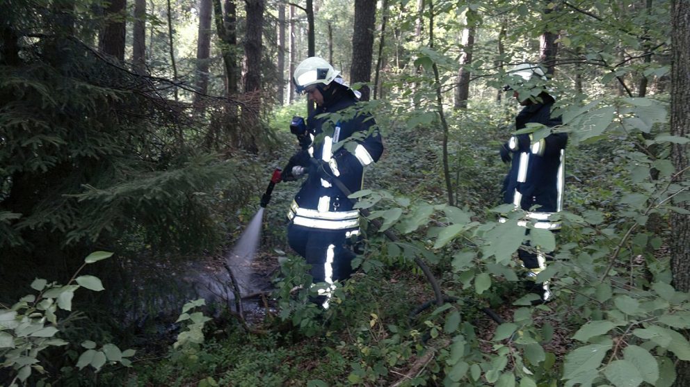 Waldbrand #15-15