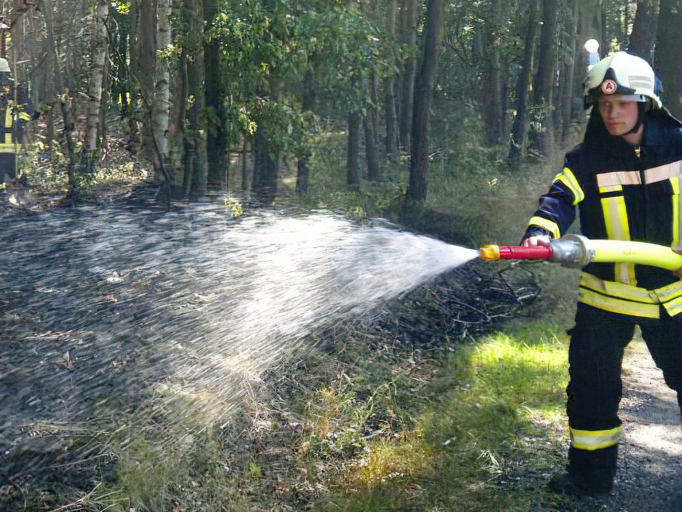 Waldbrand  #16-15