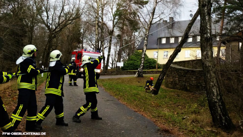 Baum in Schieflage #27-15