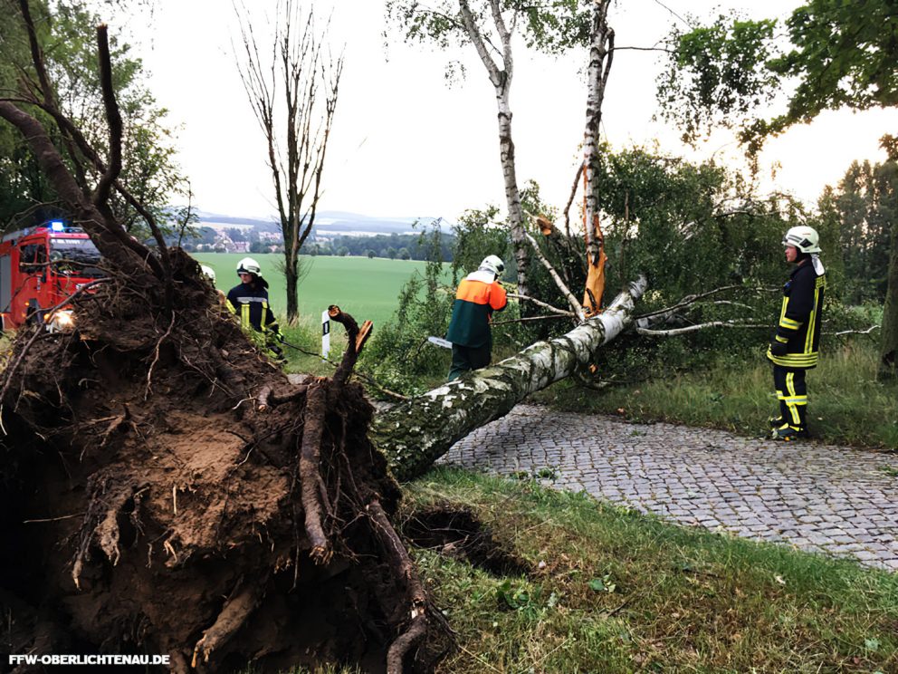 Beseitigung von Unwetterschäden, Teil 1 #4-17