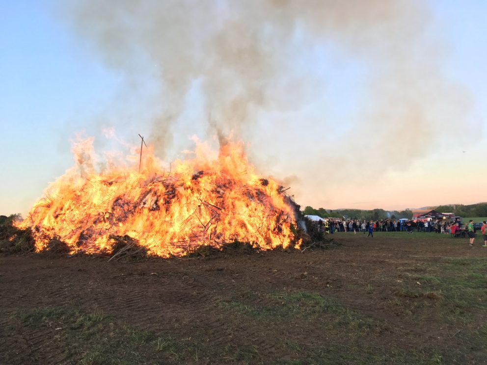 Ab sofort nehmen wir kein Holz mehr an!