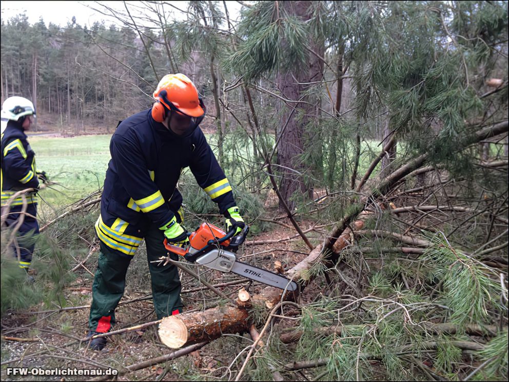 mehrere Bäume auf Strasse #5,6-15