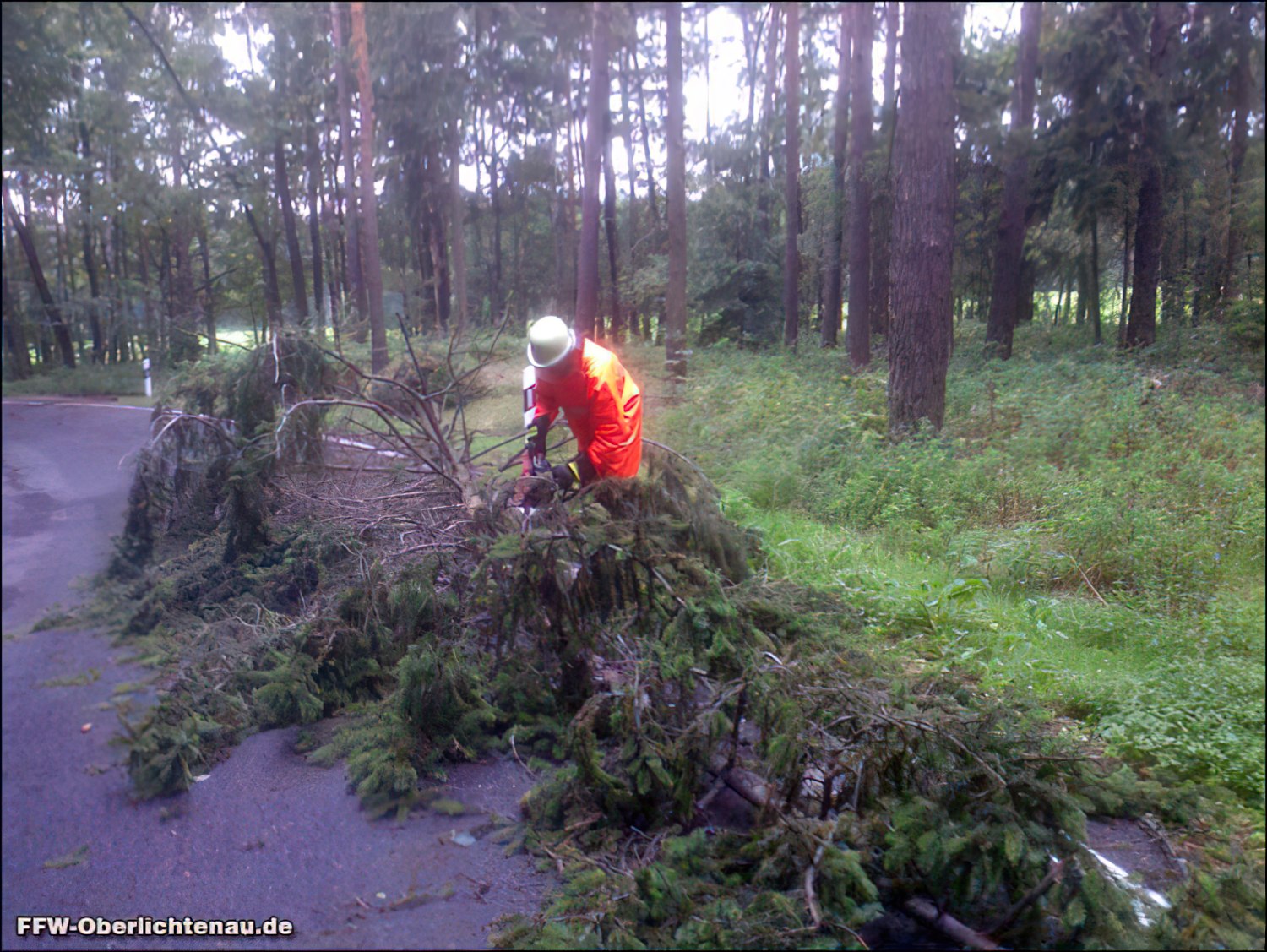 Schaden Sturm #15/10