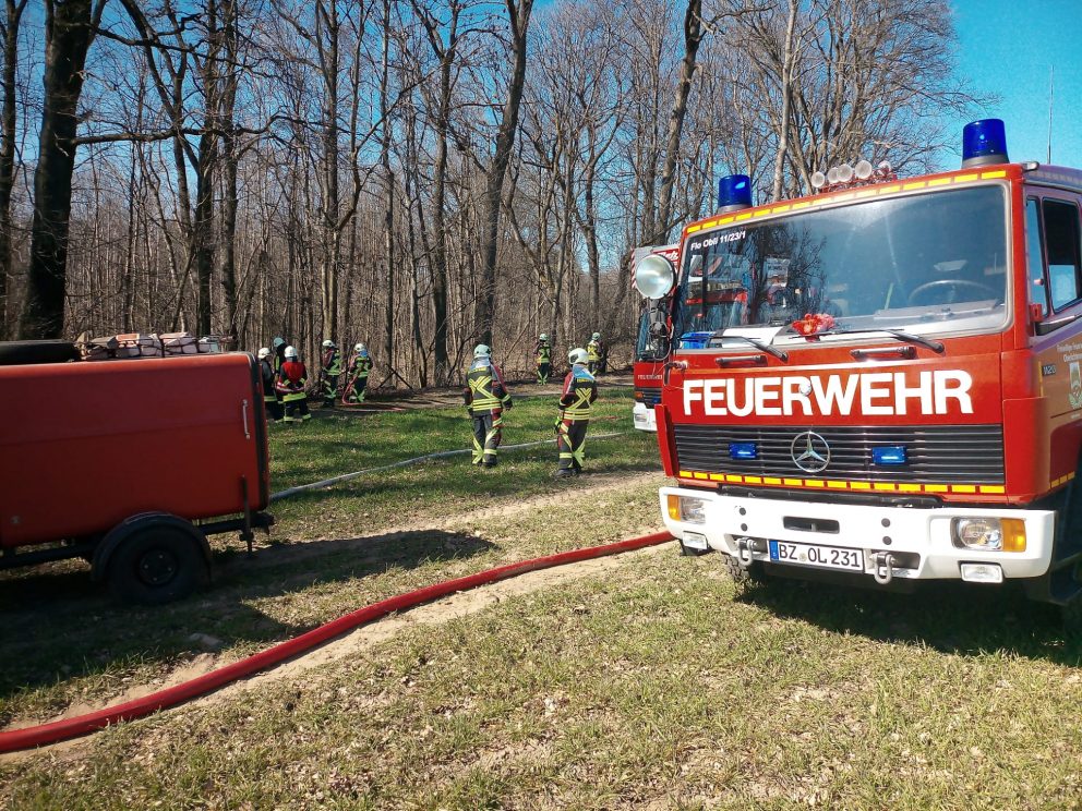 Ödlandbrand am Waldesrand