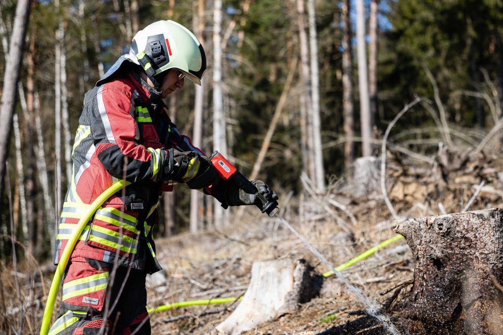 Brand Waldrand