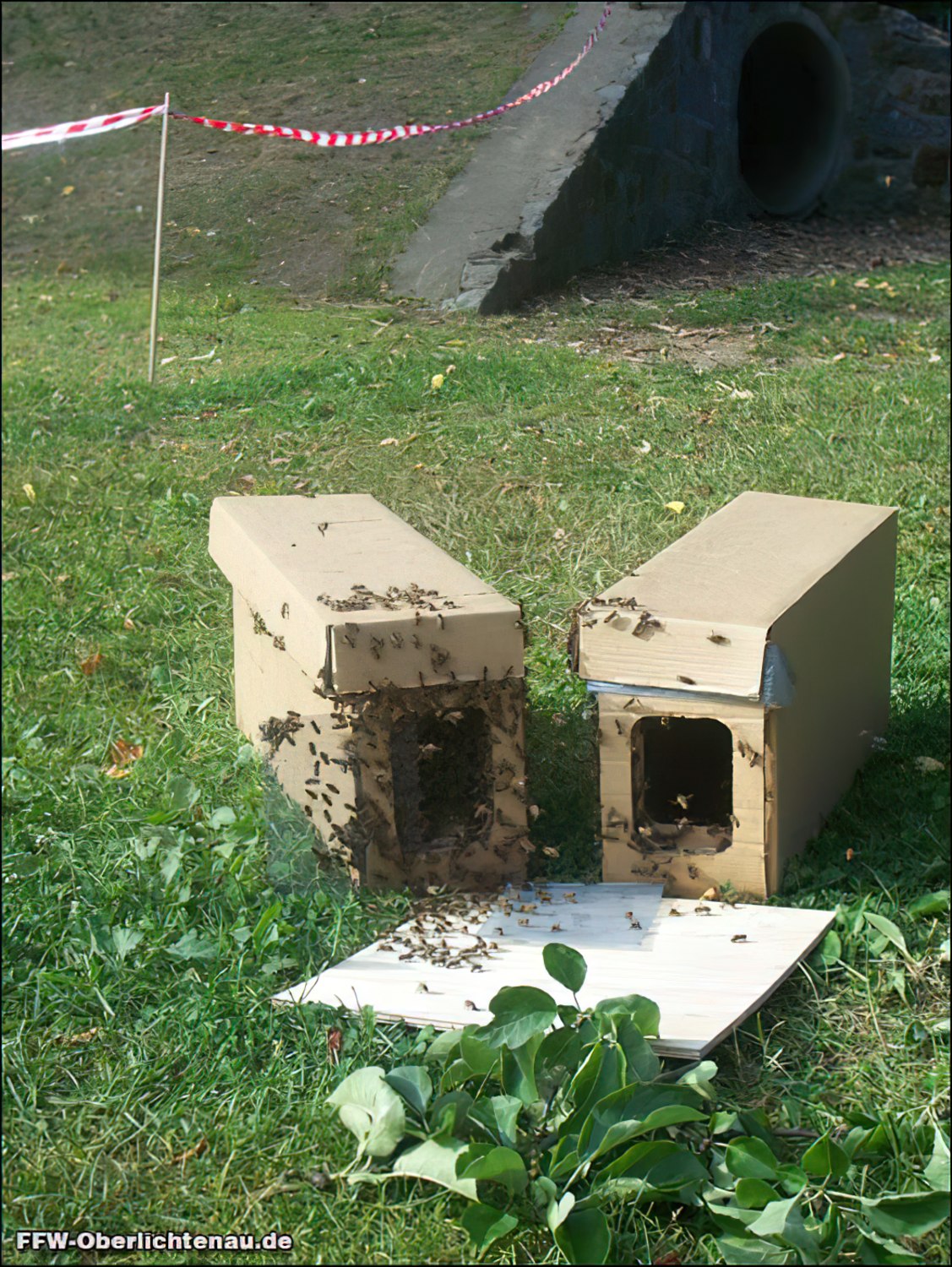 Allgem. Hilfeleistung #4/11