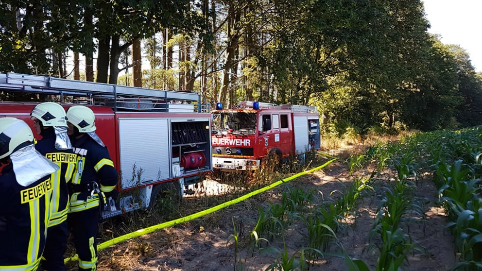 Waldbrand am Wanderweg in Pulsnitz