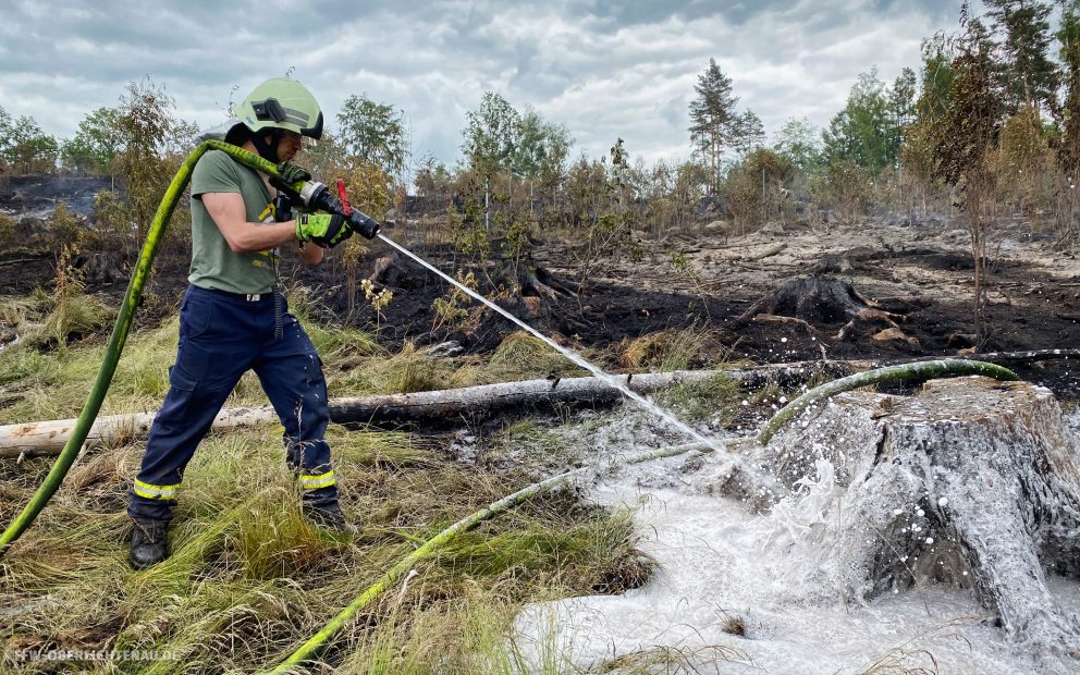 Waldbrand – Massive Brandausbreitung Totholz