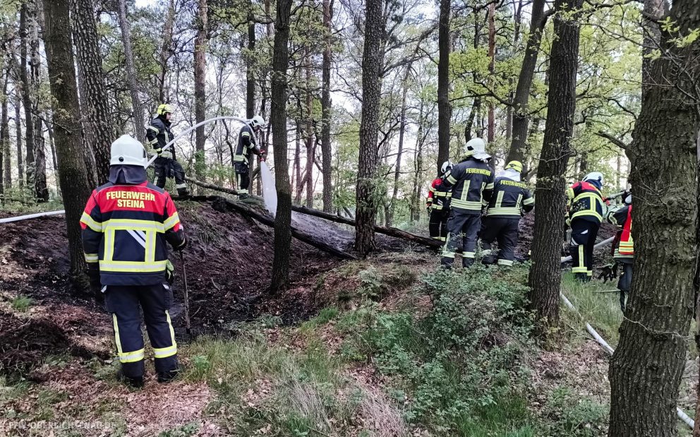 Waldbrand Höhenberg #09/26